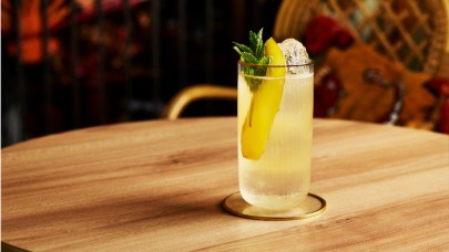 Ginger Collins