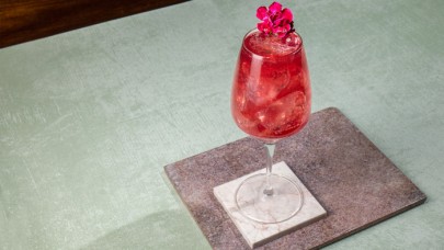 High & Dry Hibiscus Spritz